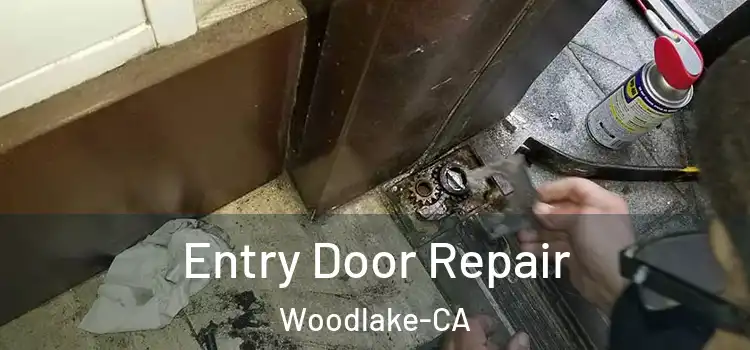  Entry Door Repair Woodlake-CA