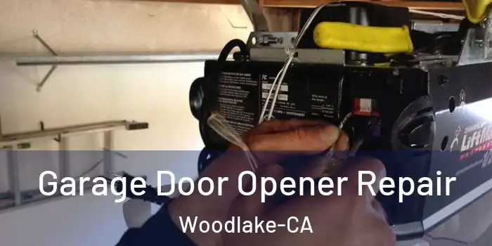  Garage Door Opener Repair Woodlake-CA