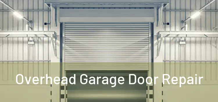  Overhead Garage Door Repair 